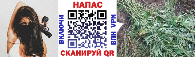 дарнет шоп  shop клад  Марихуана марихуана  Енисейск 